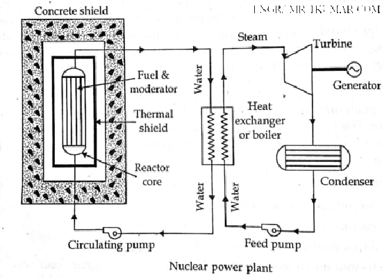 Nuclear Power Plant Details: Function of a Nuclear Power Plant
