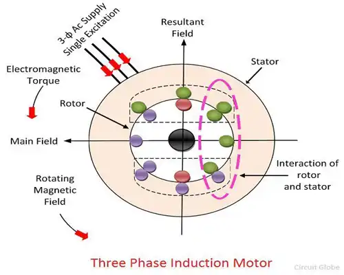 Three Phase Induction Motor
