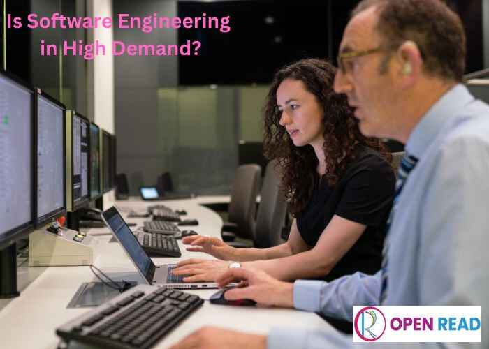 Is-Software-Engineering-in-High-Demand