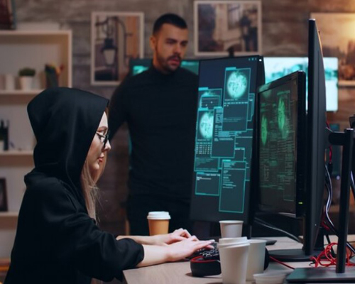 Which Field Have Better Future Cyber Security or Software Engineering?