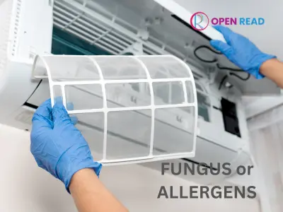 ac-fungus-and-allergies