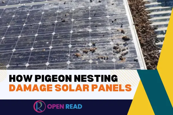 damage-solar-panel