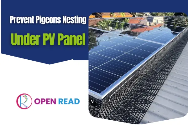how-to-stop-pigeons-from-nesting-under-solar-panels