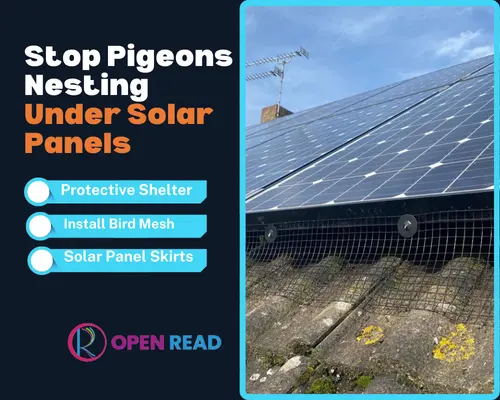 10 Ways How to Stop Pigeons from Nesting Under Solar Panels